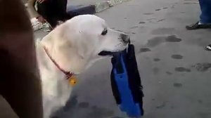 По городу
