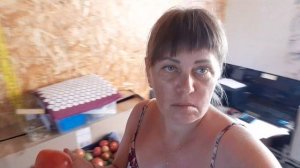 Жизнь в Деревне кипит , Крыша на месте , материал закуплен