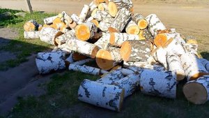 Дела житейские, про работу и отдых.