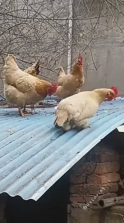 Неожиданные вещи происходят