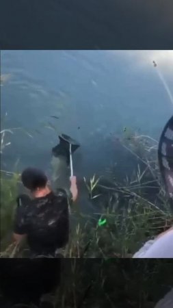 Вот так вытащили рыбу!