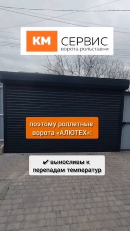 video5195229841816847391