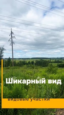 Загородная жизнь в городе