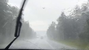 Вот как меня встретил первый день отпуска, 🤭🤭🤭