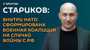 Стариков: внутри НАТО сформирована военная коалиция на случай войны с РФ