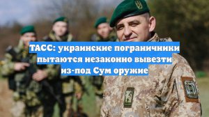 ТАСС: украинские пограничники пытаются незаконно вывезти из-под Сум оружие