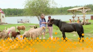 «Тиэргэн»: Акулина, Александр Уваровскайдарга ыалдьаттаатыбыт (25.07.25)