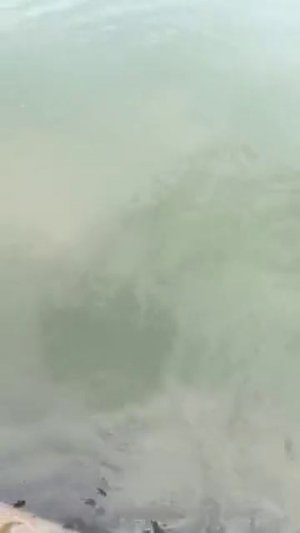 VID_20250725_001521_445.mp4