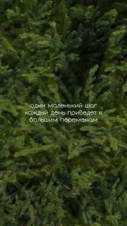 НАЧИНАТЬ тяжело… ох, как тяжело 😓