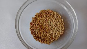 ТЕПЛЫЙ САЛАТ С ЧЕЧЕВИЦЕЙ. ПРАЗДНИЧНЫЕ САЛАТЫ