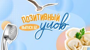 Кот под охраной и наглые петербургские чайки. "Позитивный улов"