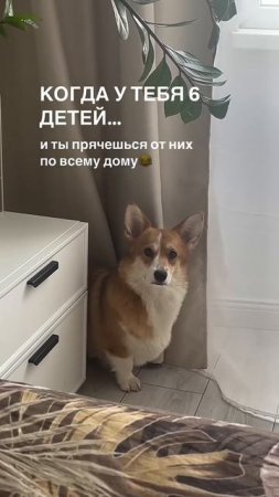 @mix_shorts_