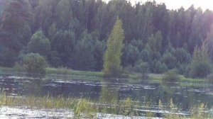 Ночничок NIRSI NVS 40