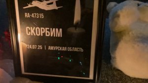 «Был пар и вибрация»: пассажиры жаловались на состояние Ан-24 перед катастрофой