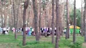 Смарт парк Дельфин в Воронеже сегодня 25 июля 2025, танцевальный вечер 50+ в парке знакомств 50+