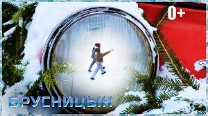 КАТОК БРУСНИЦЫН