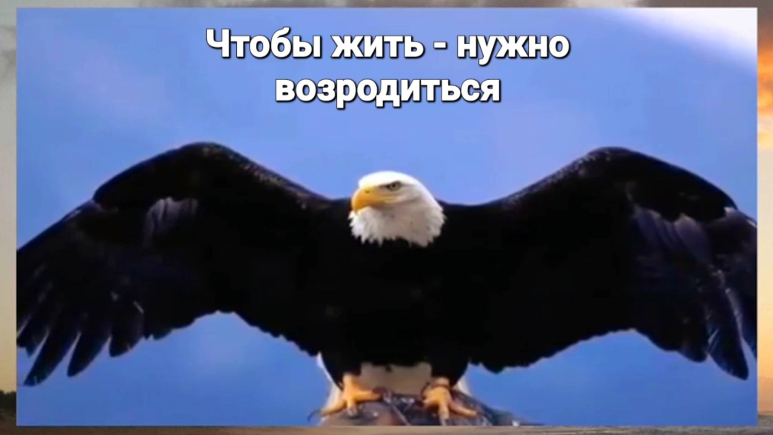 🔀Начни жить иначе! смотреть онлайн