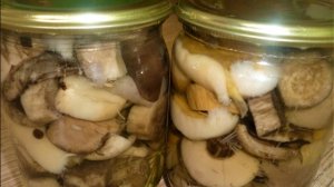 Маринованные грибочки