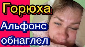 Альфонс на голову залез? 😉Деревенский дневник.