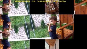 ԴԻԼԻՋԱՆՈՒՄ ԹՈՌՆԻԿՆԵՐԻՍ  ՀԵՏ IN DILIJAN 24 07 2025    В  ДИЛИЖАНЕ С ВНУКАМИ