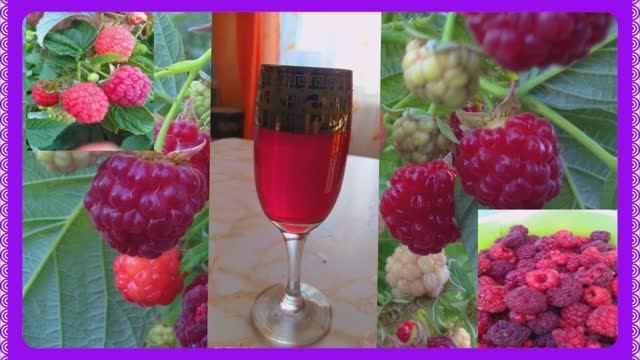 Малиновое вино! Ароматное и очень полезное! смотреть онлайн