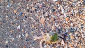 video_2025-06-08_20-19-47