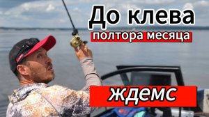 Рыбы нет, но вы держитесь!