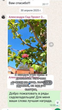 ради этого стоит работать