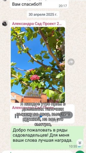 ради этого стоит работать