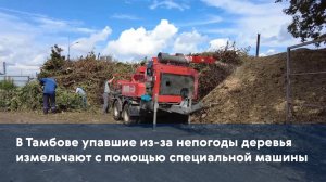В Тамбове упавшие из-за непогоды деревья измельчают с помощью специальной машины