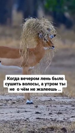 1000258037.mp4