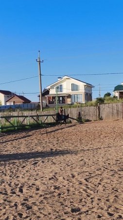 Вика и Наоми, галопная часть ППДБ.