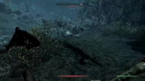 The Elder Scrolls V: Skyrim