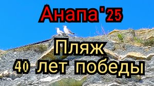 41 #Анапа #пляж 40 лет победы #каменные пляжи обстановка #сегодня 25-07-2025