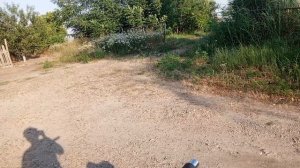 Воспоминания детства