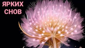 Самое Красивое Пожелание Спокойной Ночи Сладких Снов! Доброй Ночи