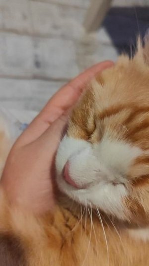 Счастье в мелочах