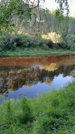 Любимая Танюша Буланова ❤️❤️❤️