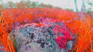 РОСОМАХА и прочее. Монологи на рыбалке