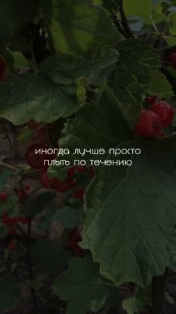 Тревога не отпускает⁉️