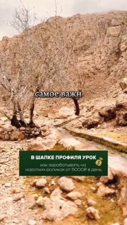 Цени тех, кто ценит тебя.