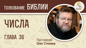 Числа. Глава 36. Протоиерей Олег Стеняев. Ветхий Завет