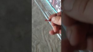 установка маяков на песчаные и глинистые полы для последующей заливки.