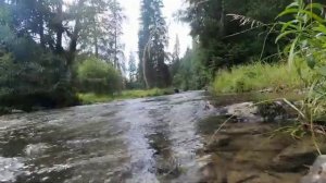 ЖЕНСКОЕ СЧАСТЬЕ НЕ ЗА ГОРАМИ...