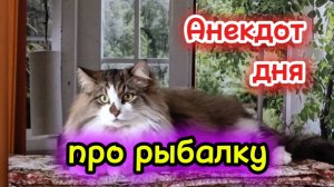 Анекдот дня про рыбалку.