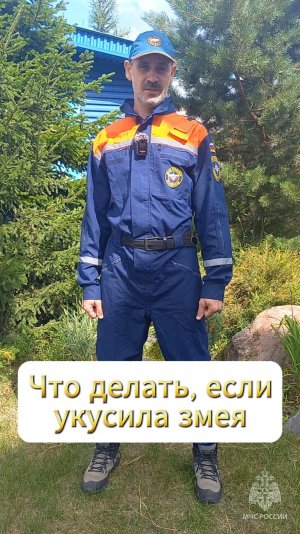 Что делать, если укусила змея #БезопасностьЭлементарно