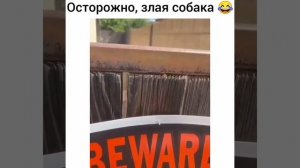 Осторожно злющая сабачка