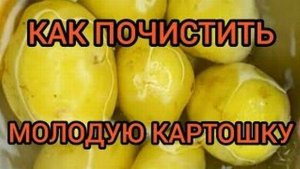 КАК БЫСТРО ПОЧИСТИТЬ МОЛОДУЮ КАРТОШКУ КАРТОФЕЛЬ готовим с вами вместе