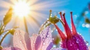 Доброе утро с хорошими пожеланиями 💛