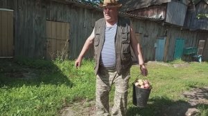 ЖДЁМ РОДСТВЕННИКОВ, ВОПРОС ОТВЕТ, УРОЖАЙ КАБАЧКОВ, ПОВСЕДНЕВНАЯ СЕЛЬСКАЯ ЖИ